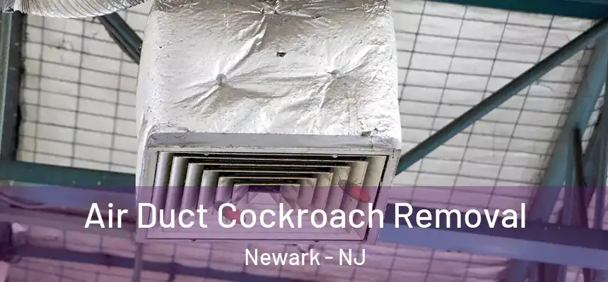 Air Duct Cockroach Removal Newark - NJ