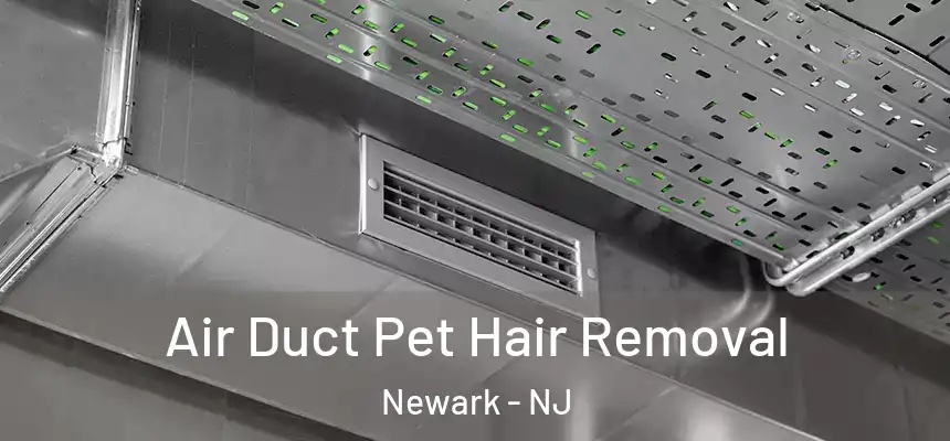 Air Duct Pet Hair Removal Newark - NJ