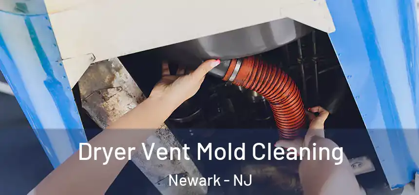 Dryer Vent Mold Cleaning Newark - NJ