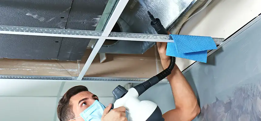 Our Air Duct Rodent Removal Services in Newark, NJ