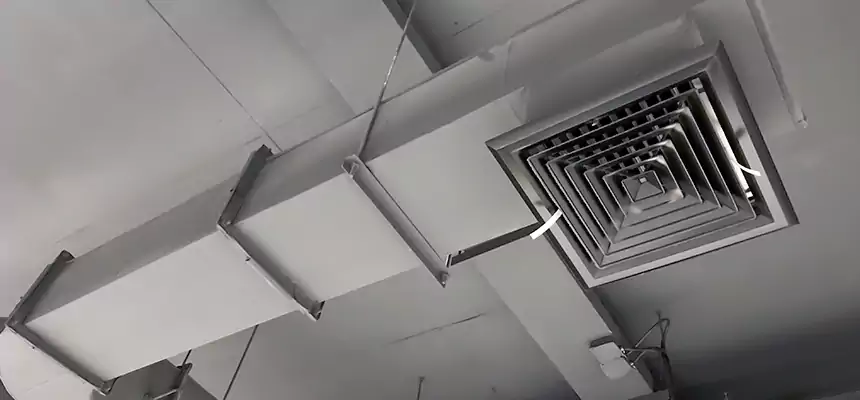 Our Pest Removal From Ducts Services in Newark, NJ