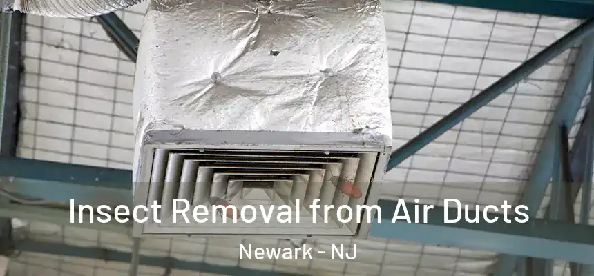 Insect Removal from Air Ducts Newark - NJ