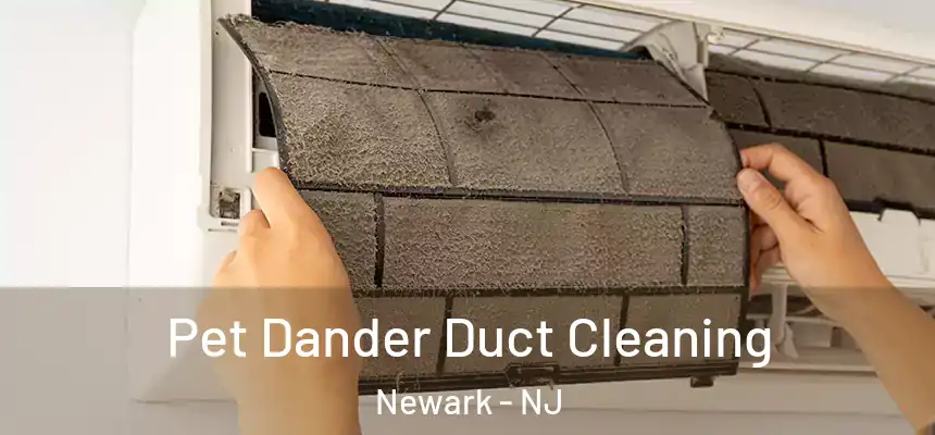 Pet Dander Duct Cleaning Newark - NJ