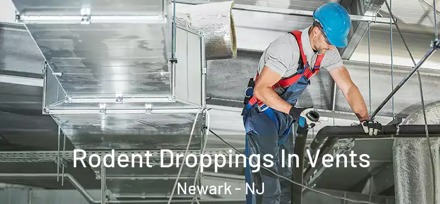 Rodent Droppings In Vents Newark - NJ