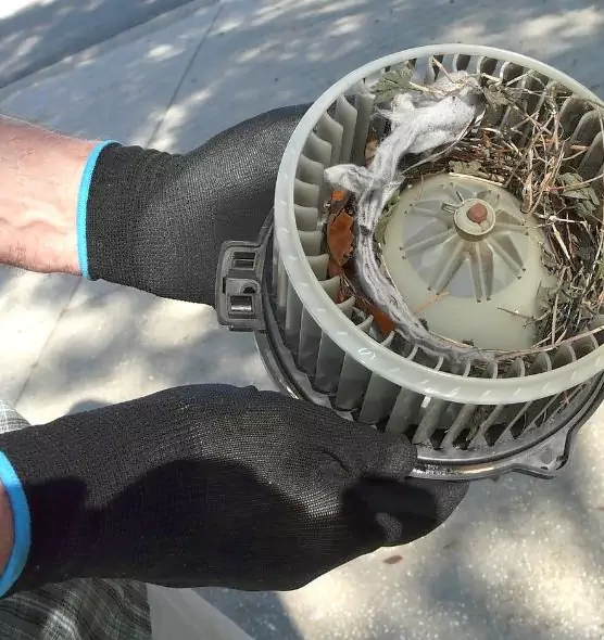 About Air Duct Mice Removal in Newark, NJ