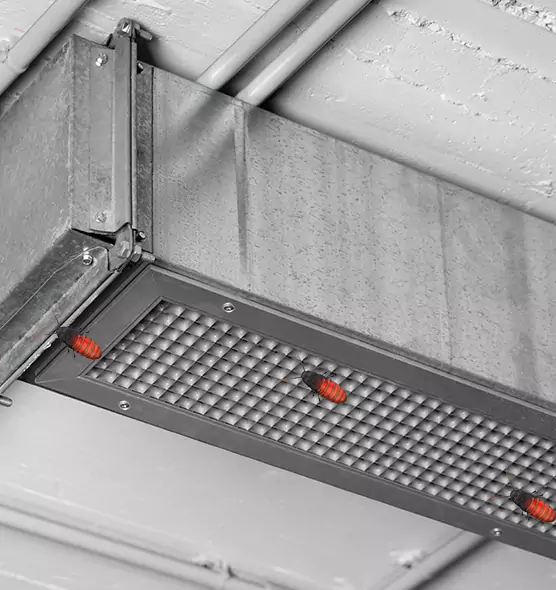 Affordable Insect Removal from Air Ducts in Newark, NJ