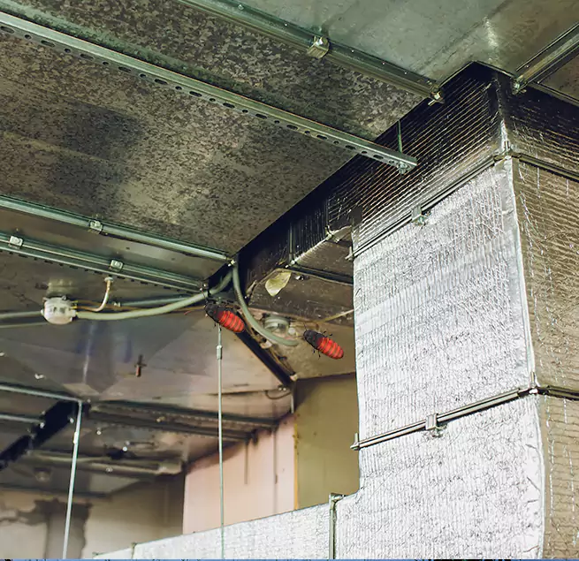 Why Homeowners & Businesses Trust Us in Newark, NJ?