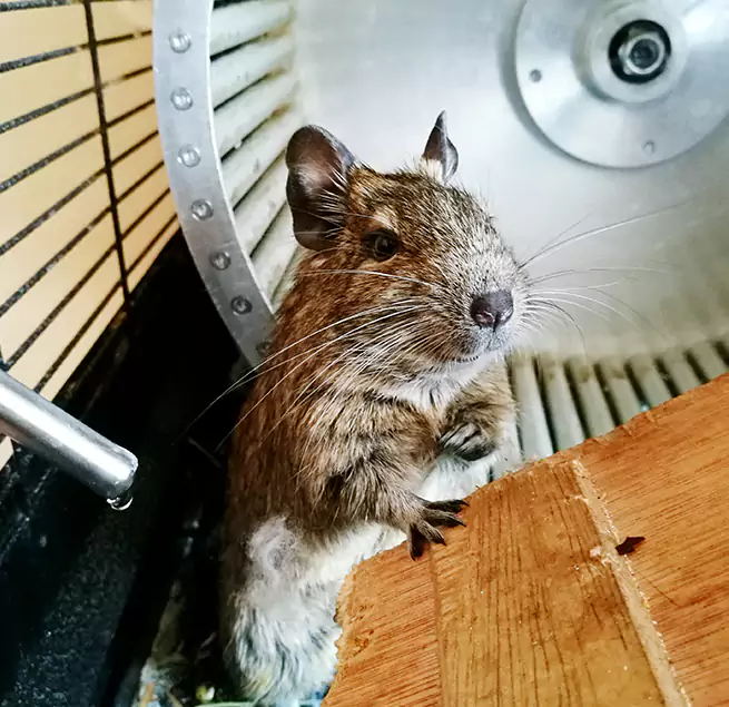 Why Homeowners & Businesses Trust Us Newark, NJ?