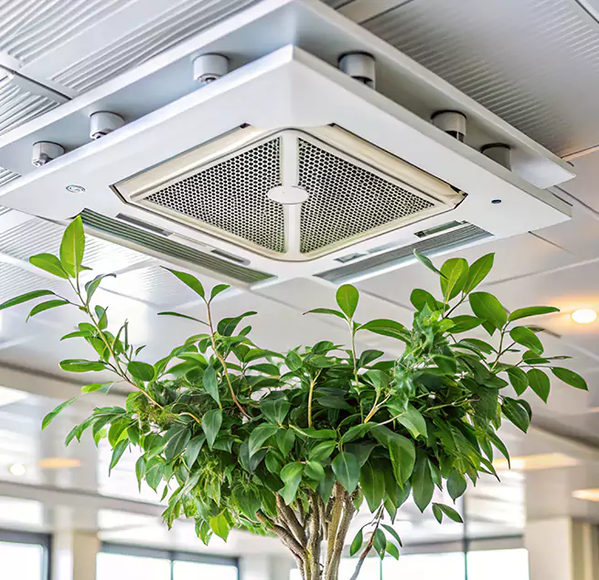 Why Homeowners & Businesses Trust Us in Newark, NJ?