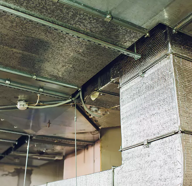 Why Homeowners & Businesses Trust Us in Newark, NJ?